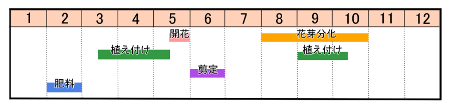 シャリンバイの育て方 ヤサシイエンゲイ