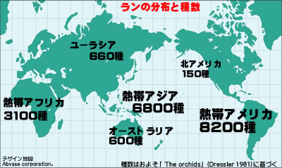 ランの分布と種数