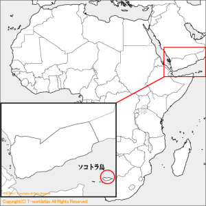 ソコトラ島
