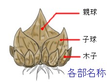 各部名称