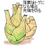 トゲが残る