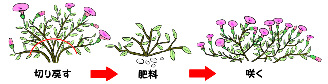 花がら摘み