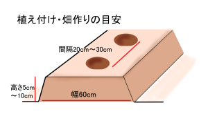 畑作り