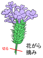 花がら摘み