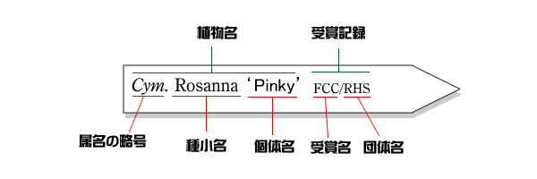 学名1