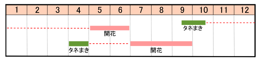 栽培カレンダー