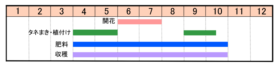 栽培カレンダー