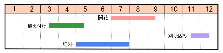 栽培カレンダー