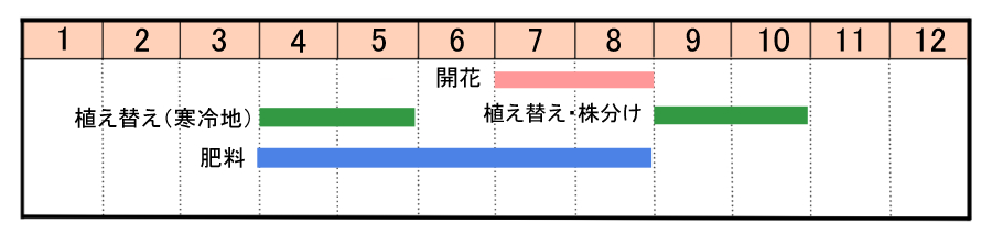 栽培カレンダー