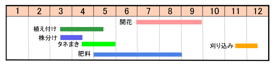 栽培カレンダー