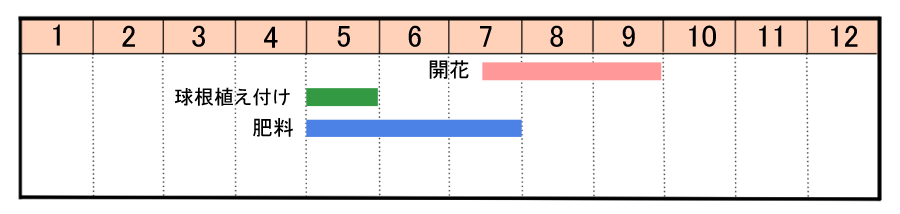 栽培カレンダー