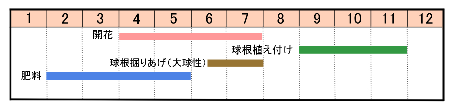 栽培カレンダー