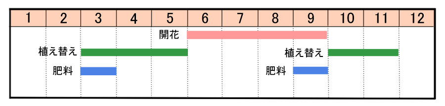 栽培カレンダー