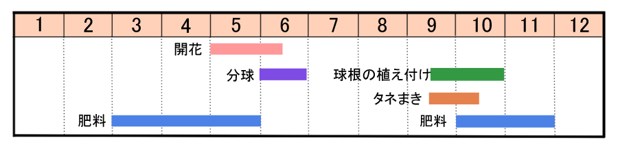 栽培カレンダー