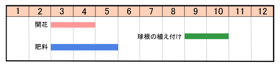 栽培カレンダー