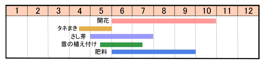 栽培カレンダー