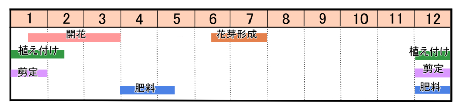 栽培カレンダー