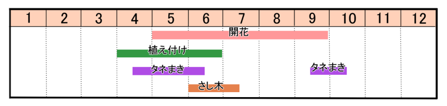 栽培カレンダー