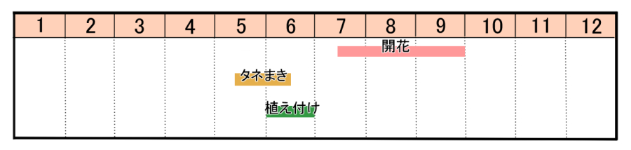 栽培カレンダー