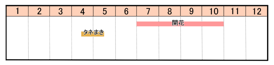 栽培カレンダー