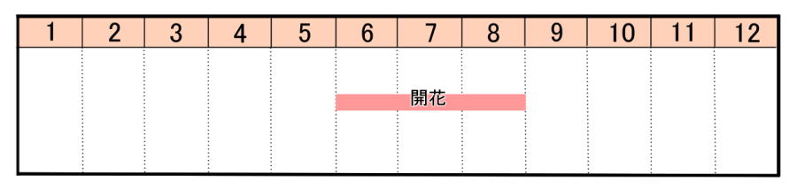 栽培カレンダー