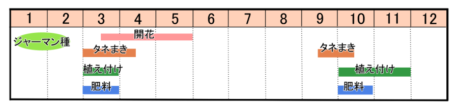 栽培カレンダー