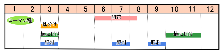 栽培カレンダー