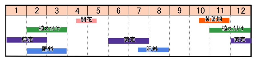 栽培カレンダー