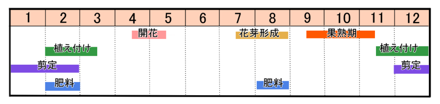 栽培カレンダー