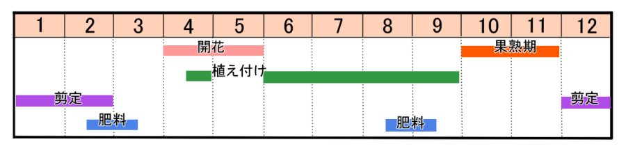 栽培カレンダー