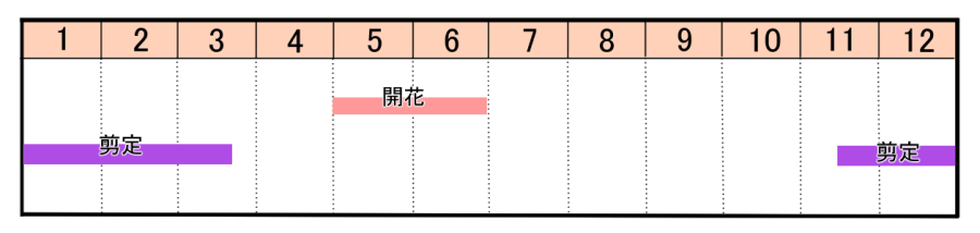 栽培カレンダー