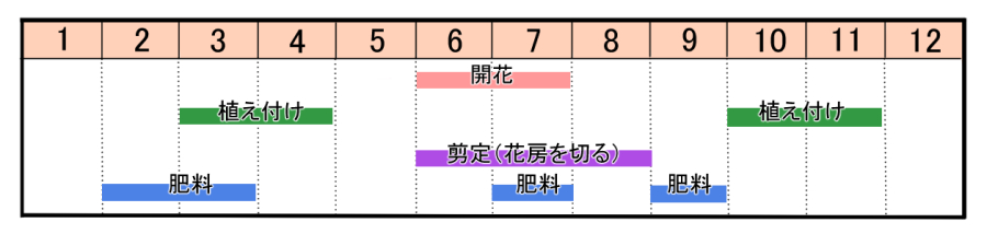 栽培カレンダー