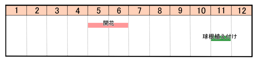 栽培カレンダー