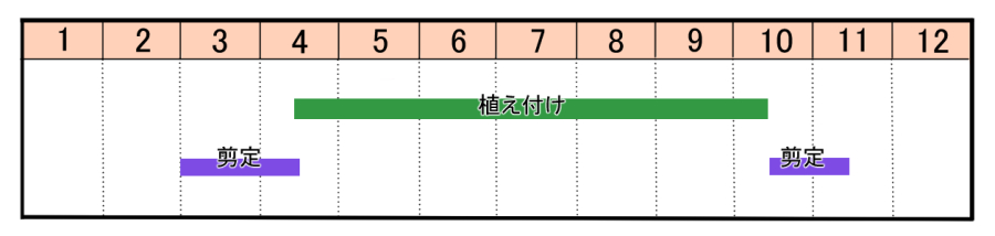 栽培カレンダー