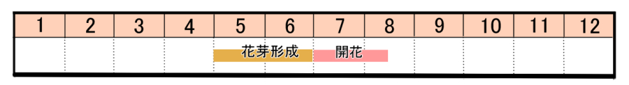 栽培カレンダー