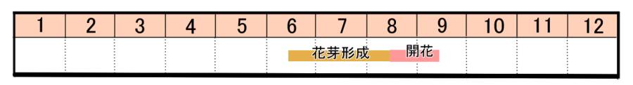 栽培カレンダー