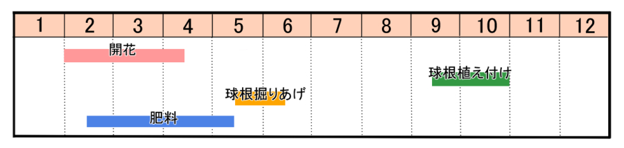 栽培カレンダー