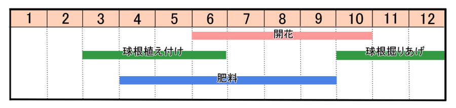 栽培カレンダー