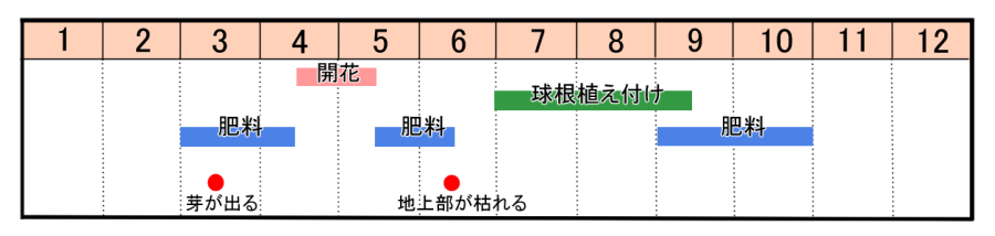 栽培カレンダー