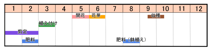 栽培カレンダー