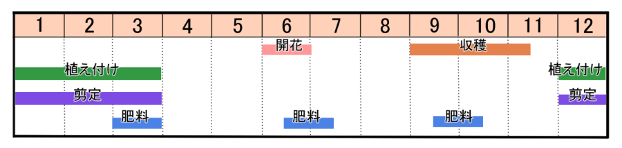 栽培カレンダー