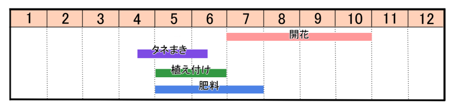 栽培カレンダー