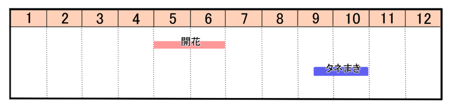 栽培カレンダー