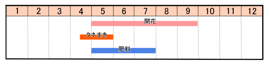 栽培カレンダー