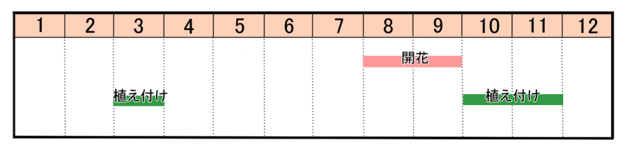 栽培カレンダー