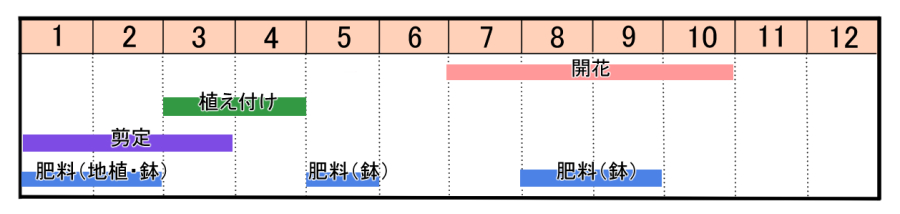 栽培カレンダー