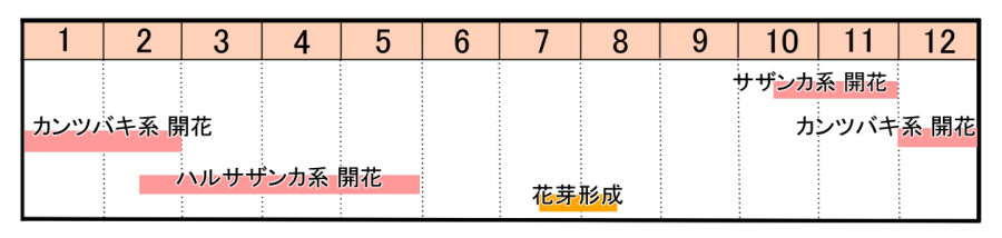 栽培カレンダー