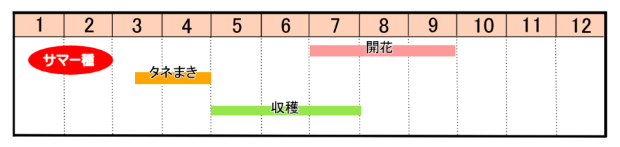 栽培カレンダー