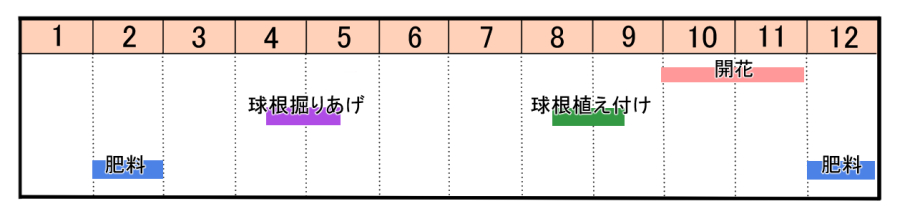 栽培カレンダー