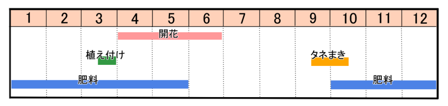 栽培カレンダー